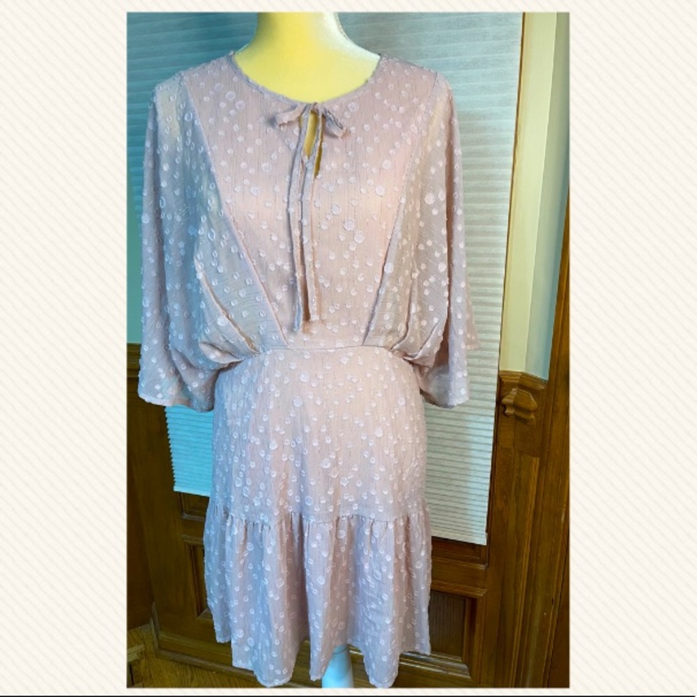 Umgee mini dress—never been worn